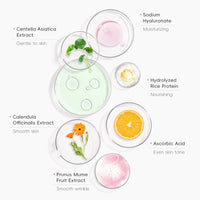 Sakura Moisturizing Sunscreen Cream — SPF50 PA+++
