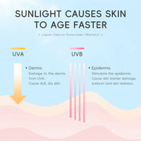 Sakura Moisturizing Sunscreen Cream — SPF50 PA+++