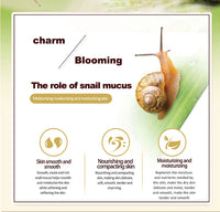 Snail Mucin Collagen Repair Cream + Eye Roller Set